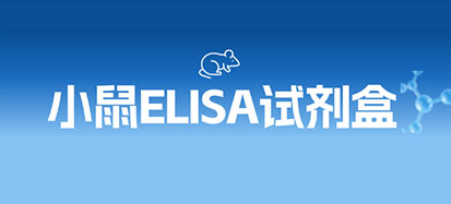 小鼠