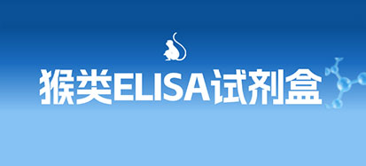 猴类
