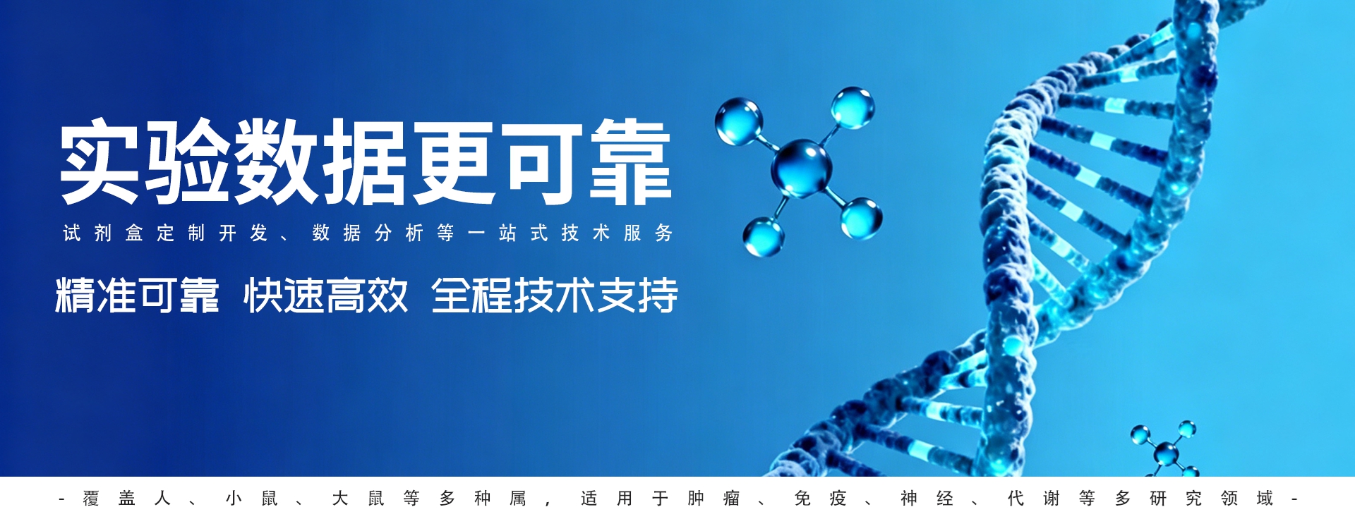 通栏图片