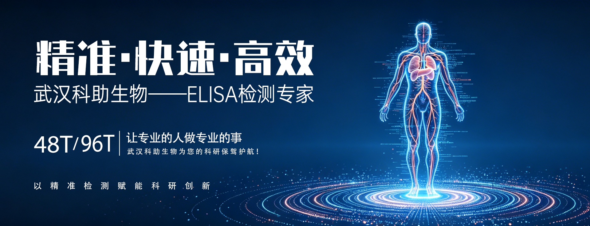通栏图片