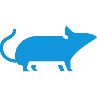 大鼠